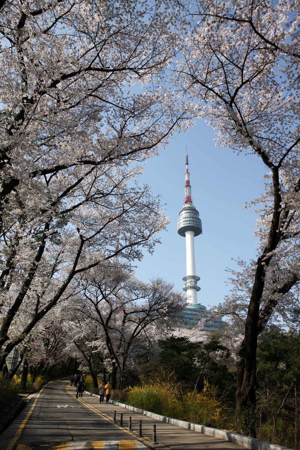 남산공원·경복궁 … K관광, 글로벌 핫플로 빛났다