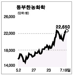 [전문가 추천주] 동부한농화학 (000990)