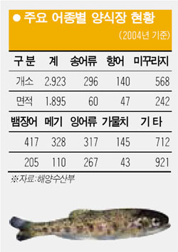 국산 향어·송어서도 발암물질 검출 ‘비상’