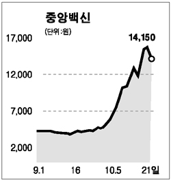 조류독감주 단타매매 성행