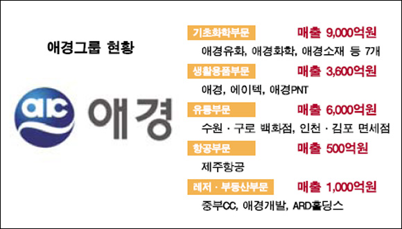 애경그룹, 삼성물산 유통부문 인수