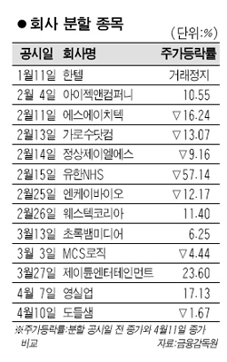 회사 분할후 주가 하락 속출