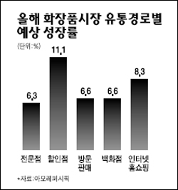 화장품업계 할인점 고객 잡아라