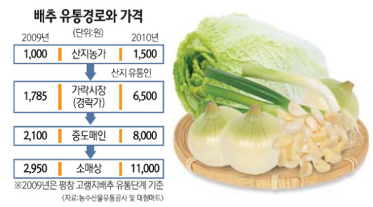 [뉴스포커스] 배추 등 채소값 파동… 대책 없나