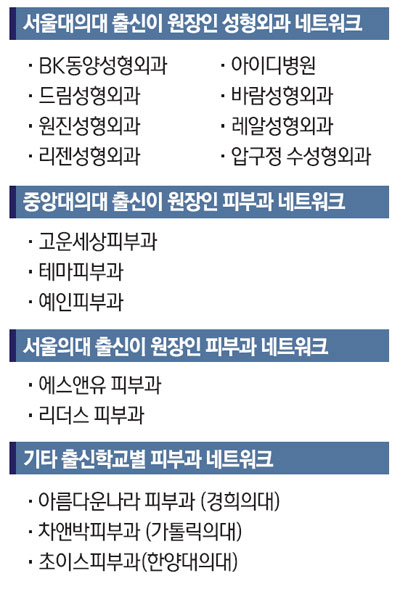 [한국의 新人脈] 서울의대 출신 성형외과서 맹활약 의료 韓流 주도