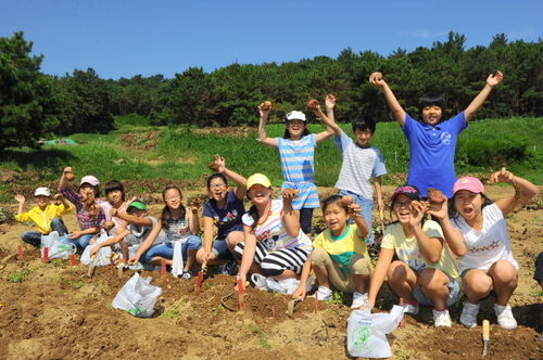 학교법인 울산 현대학원 ‘2011 고구마 수확제’개최