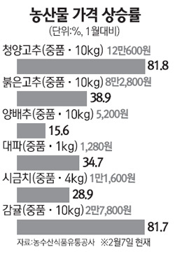 [물가당국 두 얼굴… 국내업체 몰아치고] 2월 한파에 농산물값 폭등