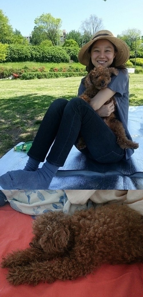 공효진 애완견과 함께 찍은 사진 공개… 다정한 한 때 모습으로 ‘미스 유 토토’