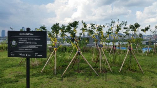 sed012014061714105184_99_20140617141206.