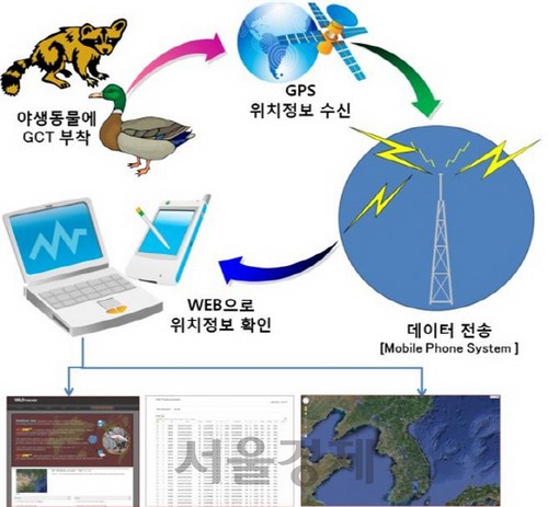 초경량 야생동물 위치추적장치 개발...AI예방 기대