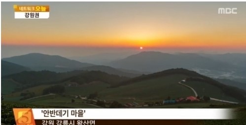 강릉 커피 힐링로드 조성, 8.8㎞  등산코스...커피향 맡으며 힐링
