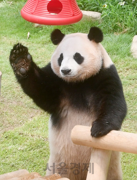 생일잔치 와줘서 고마워