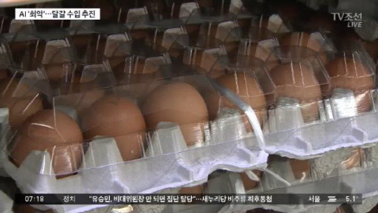 ‘하얀 계란’수입 계란 유통 기한, 세척 여부에 따라 달라진다···미세척란은 상온 30일까지