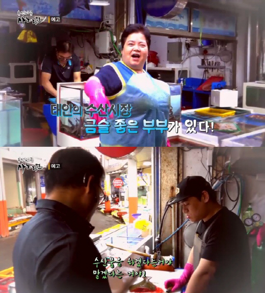‘휴먼다큐 사노라면’ 태안 수산가게 새아버지의 아들 후계자 수업