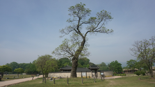 [힐링이 되는 충남 서산] 백제 사찰 숲길따라 피톤치드 듬뿍...바다 품은 암자 낙조 보며 시름 싹~