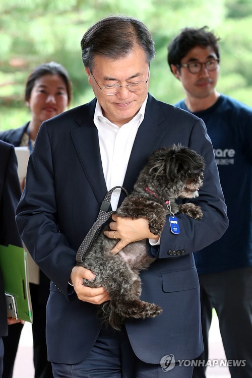 토리환경 이미지