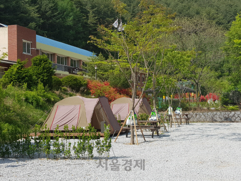 봉화솔향가득서울캠핑장