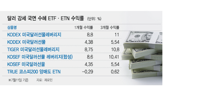 [에셋+ / 변동성 커진 증시...대안 상품은]  당분간 달러 강세 지속 예상...달러 상품 투자해볼만