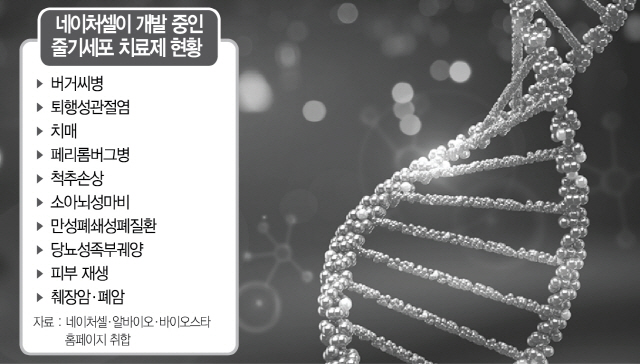 신약 후보 10개라는 네이처셀···20년째 개발만