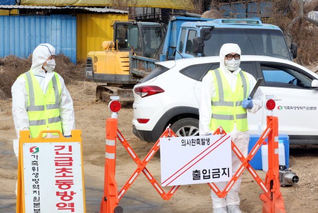 충주서도 구제역 의심...현장 통제하는 방역당국