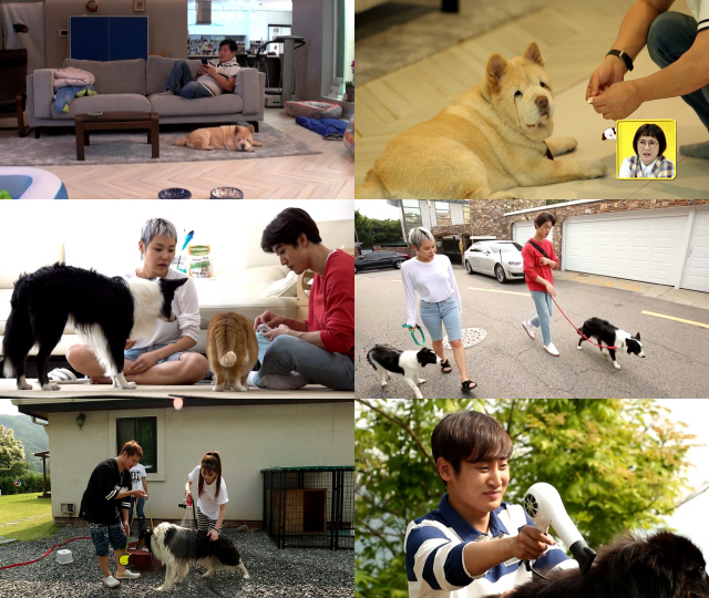 오래봐도 예쁘다 곽동연, 스타견 짱절미 넘어 치타母 마음까지 사로잡다