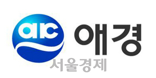 애경, 스톤브릿지와 손잡고 아시아나 인수 유동성 극복할까