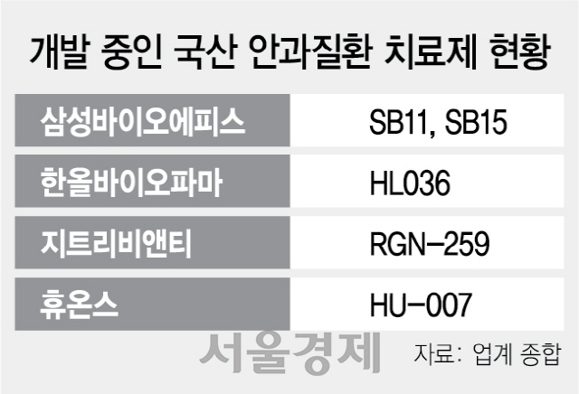 늘어나는 안질환에...치료제 개발 바람