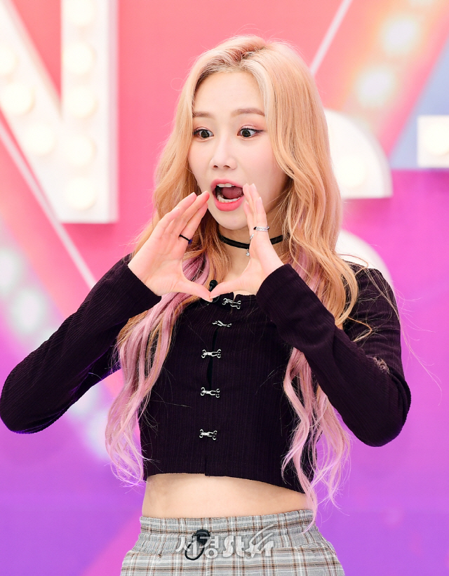 페이버릿 새봄, 앙!