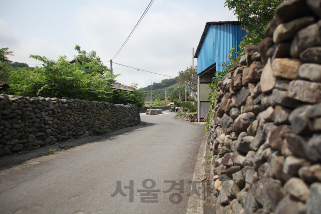 [休]문화재가 된 돌담길따라 동네 한바퀴~