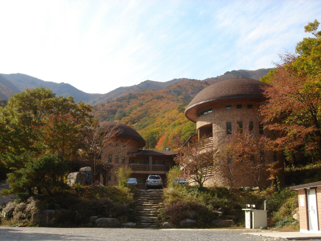 국립자연휴양림, 숲속의 집 및 연립동 등 시설운영 확대