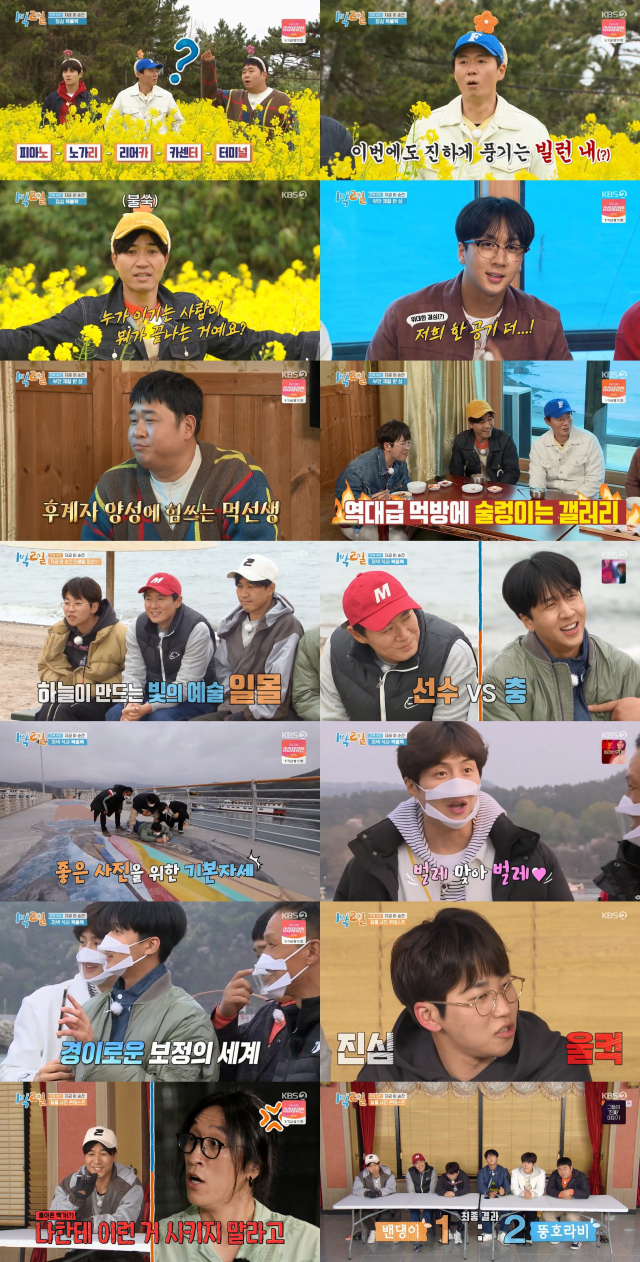 1박 2일 유채꽃밭부터 변산반도 바다까지··· 봄기운 가득한 힐링 여행기