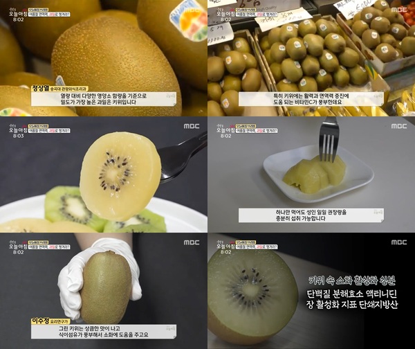 MBC 생방송 오늘아침, 여름철 면역력 높이는 과일로 ‘키위’ 소개