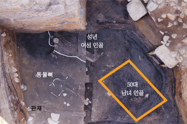 신라 월성서 또 인신공양 흔적···의식에 제물로 사용