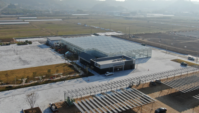 식집사 천국 순천만 가든마켓 활짝