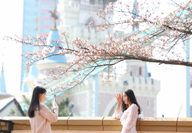 3년만에 열리는 벚꽃길…봄 향기에 흠뻑