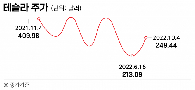테슬라 바닥 신호?…주가 폭락에 사들인 돈나무 언니 [코주부]