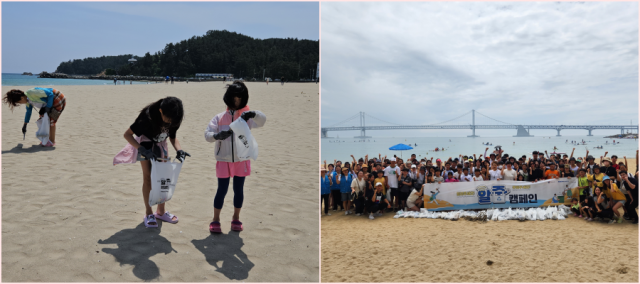 2061명이 해양쓰레기 2.7톤을 주운 이유[지구용]