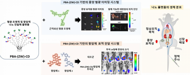[이달의 과기인상]종양만 잡는 나노 약물전달시스템 선보여