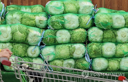 김치 아무나 못먹는대…역대급 金배추 대란 괴담 돌더니 결국…