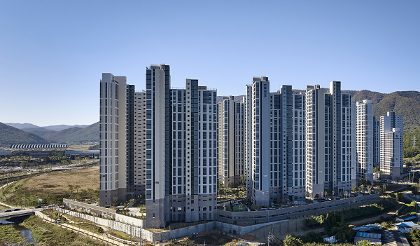 대장 2026