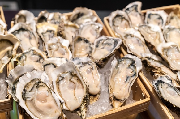 통영 제조 이 굴 절대 먹지 말라 美서 판매 중단에 회수 조치까지…무슨 일?