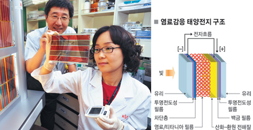 ‘색 입은 유리창에서 전기가..’ 염료감응형 태양전지 개발