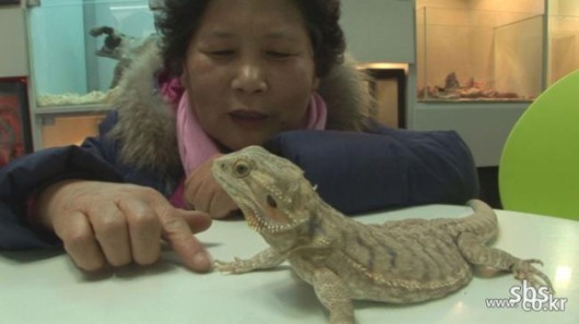 ‘동물농장’ 사막쥐에 식용달팽이까지 남다른 동물사랑 할머니 포착