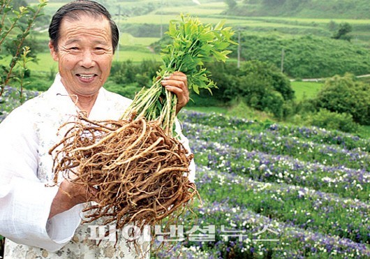 롯데百, 본점 식품관에 사찰 음식등 힐링푸드관 선보여
