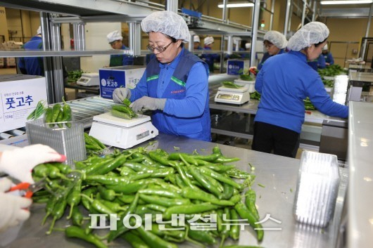 최첨단 농협 안성물류센터 가보니