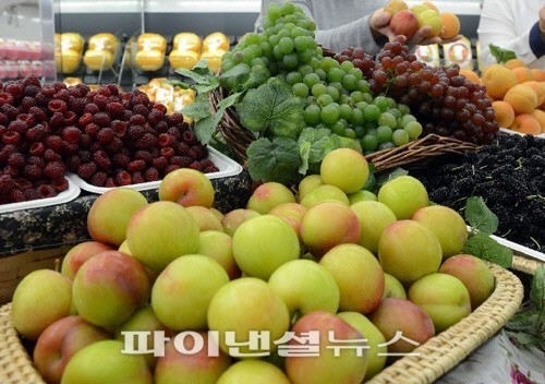과일 이미지