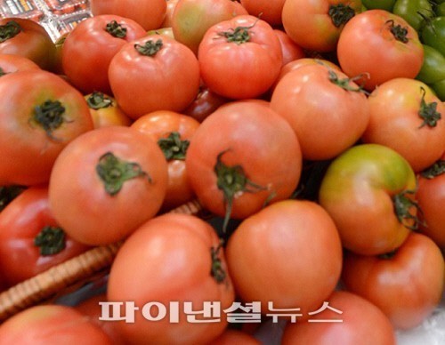 컬러푸드 이미지