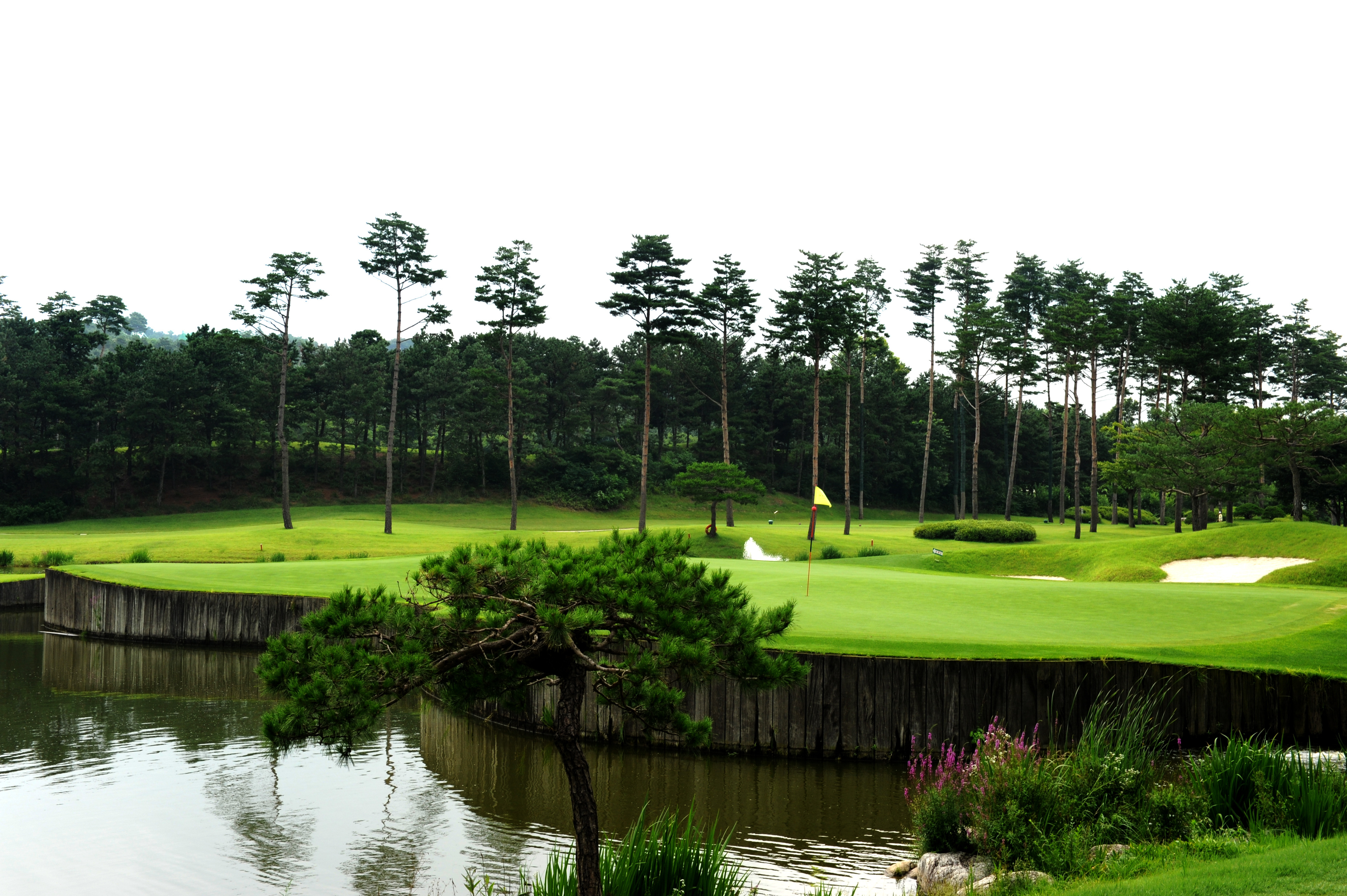 <정대균기자의 한국의 골프장 탐방>경기도 여주 솔모로CC