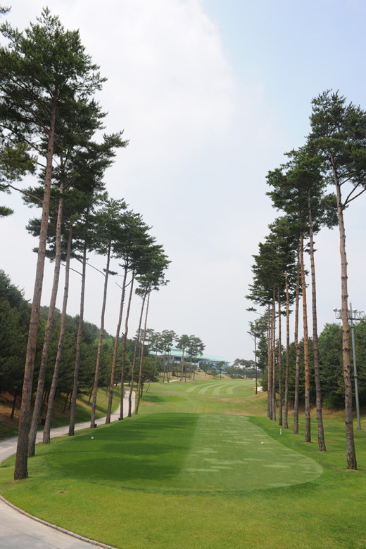 [정대균 기자의 한국의 골프장 산책] (7) 경기도 여주 솔모로CC