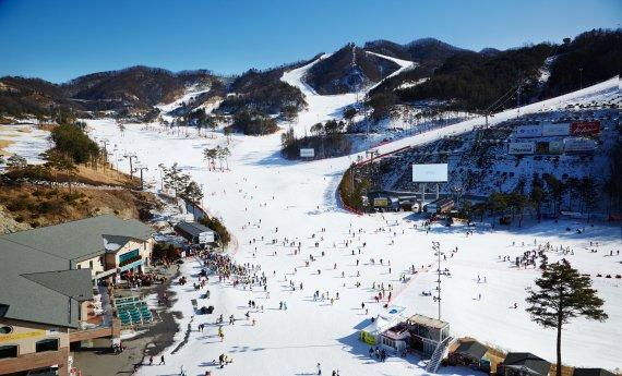 [스키시즌 개막 2015~2016] 오크밸리 스키장, 유아스키스쿨.. 객실 픽업부터 렌탈·강습까지 풀케어 서비스